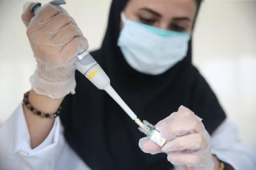 31 خرداد آخرین فرصت استفاده پژوهشگران از چهار گرنت علوم پزشكی