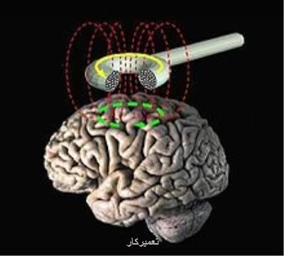 كنترل اشتها با هدف قرار دادن یك گیرنده در مغز