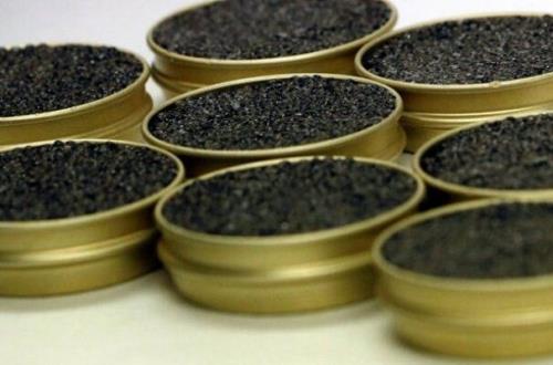 چالش های صنعت خاویار به فناوران ارائه شد