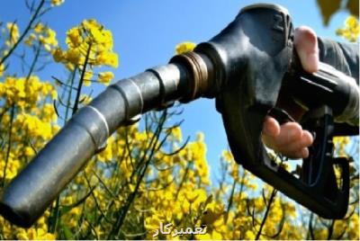 ۲ پروژه ملی برای توسعه تولید سوخت زیستی در كشور اجرایی می شود