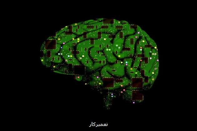 بررسی نواحی خاص مغز با کمک هوش مصنوعی