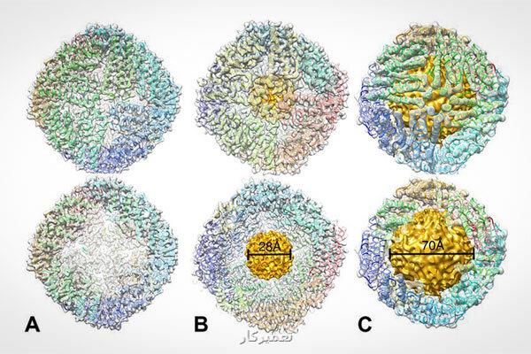هوش مصنوعی برای شرکت داروسازی نانوذرات مناسب انتخاب می کند