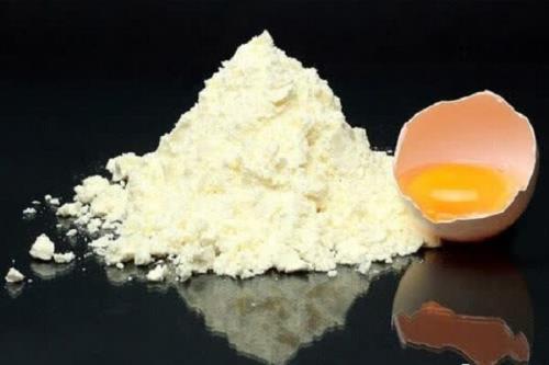 پودر سفیده تخم مرغ به روش الکتروهیدرودینامیک تولید شد