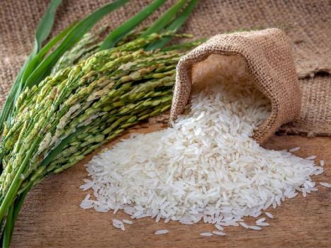 سازوکار واردات برنج و ظهور سلطان های جدید در بازار