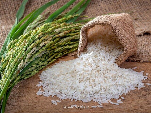 سازوکار واردات برنج و ظهور سلطان های جدید در بازار