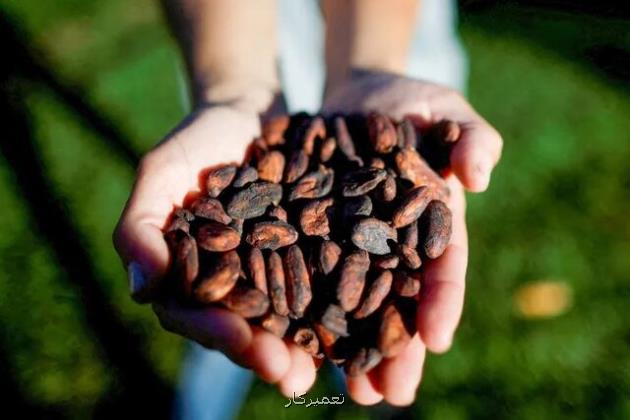 چرا شکلات تا این حد گران شد؟