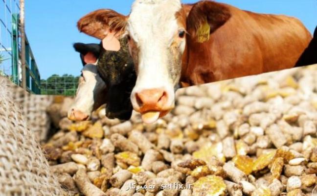 ابلاغ کد تعرفه صادراتی جدید برای خوراک دام از صنایع نیشکر توسط سازمان توسعه تجارت