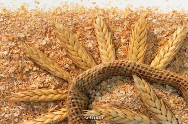عرضه سبوس در بازارگاه