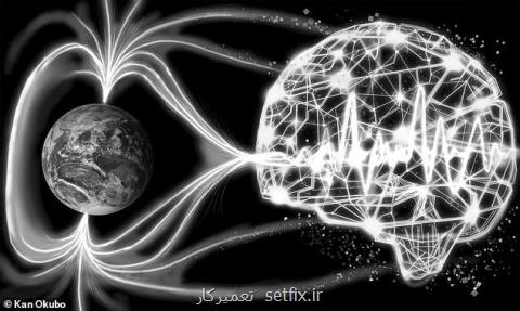 استفاده از هوش مصنوعی برای پیش بینی زلزله