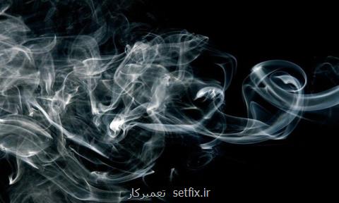 تشخیص زودهنگام آتش سوزی با الهام از گیاهان