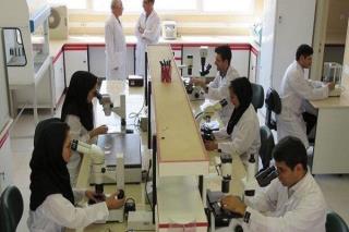لغو معافیتهای گمركی شركتهای دانش بنیان تكذیب شد