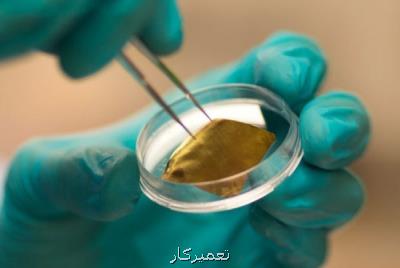 به اشتراك گذاری فناوری برای توسعه كیت تشخیص طبی نانویی