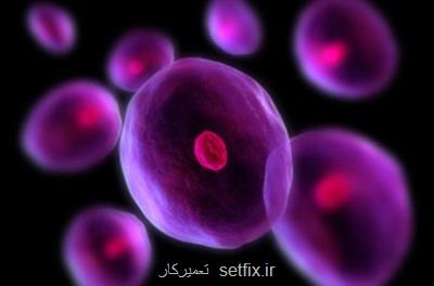 ثبت اطلاعات سلول بنیادی خونساز در شبكه ملی كشور