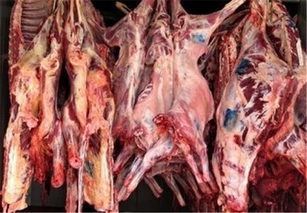 فناوری به كمك تولید گوشت قرمز آمد