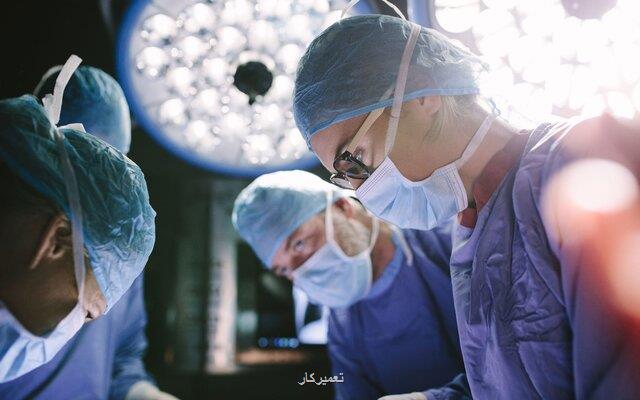 عمل پیوند سر تا ده سال دیگر محقق می شود