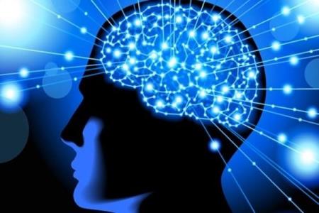 شتابدهنده حوزه علوم شناختی افتتاح شد