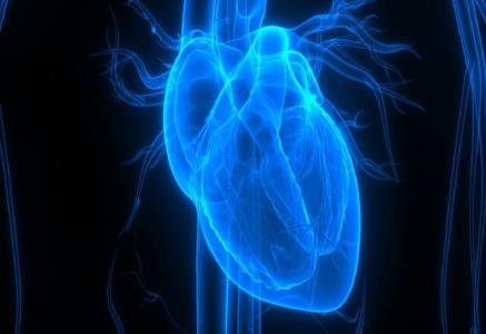 پروتئینی كه صدمه ناشی از حمله قلبی را می كاهد