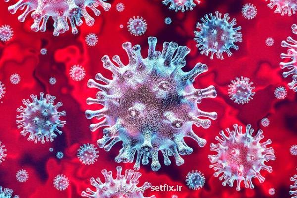 مهندسی تركیبات ضدویروس برای درمان كووید-۱۹